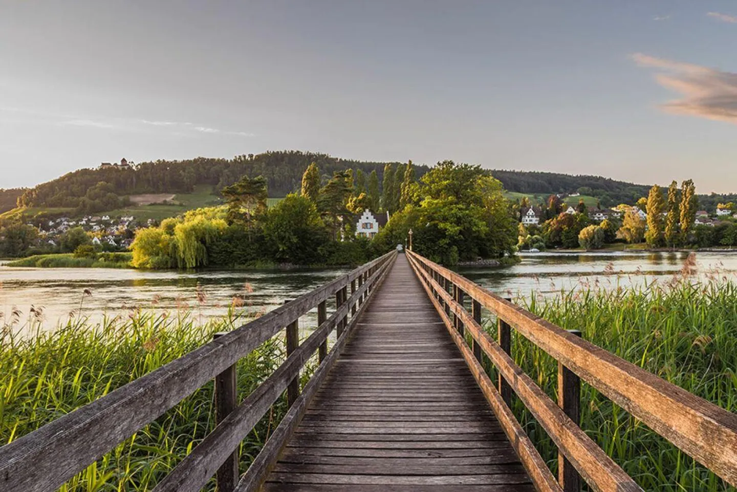 New construction: detached 5.5-room single-family house in Eschenz - Photo 9 of 9