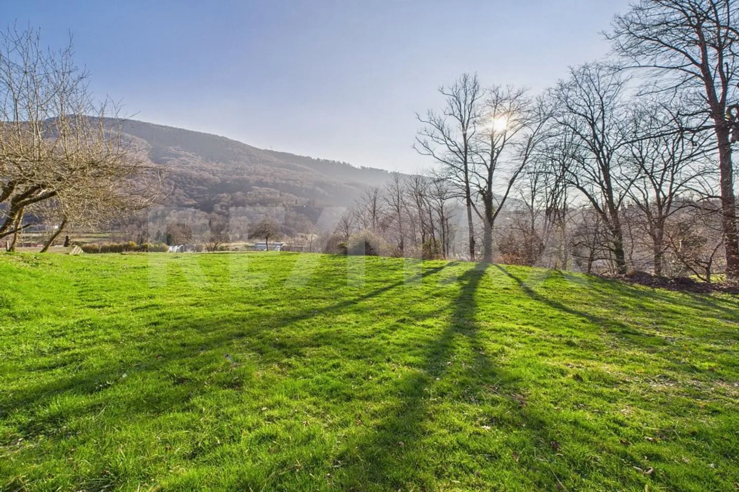 Terreno edificabile a Monteggio - Un'opportunità unica per il tuo progetto - Foto 1 di 10