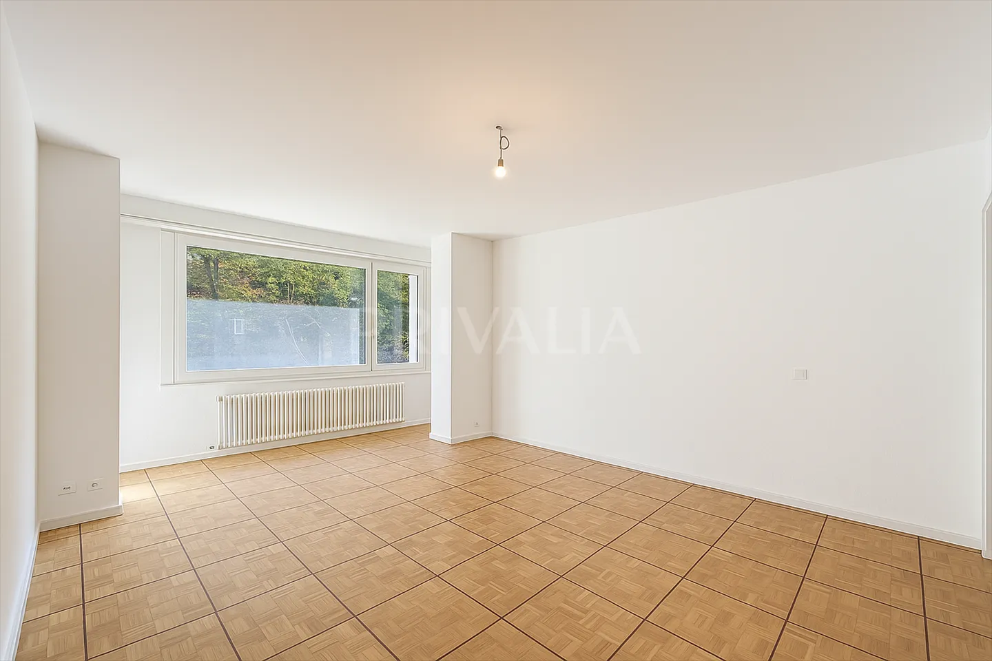 Wunderschöne durchgehende Wohnung in Malagnou - Foto 1 von 6