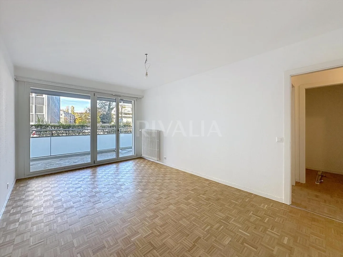 Wunderschöne durchgehende Wohnung in Malagnou - Foto 3 von 6