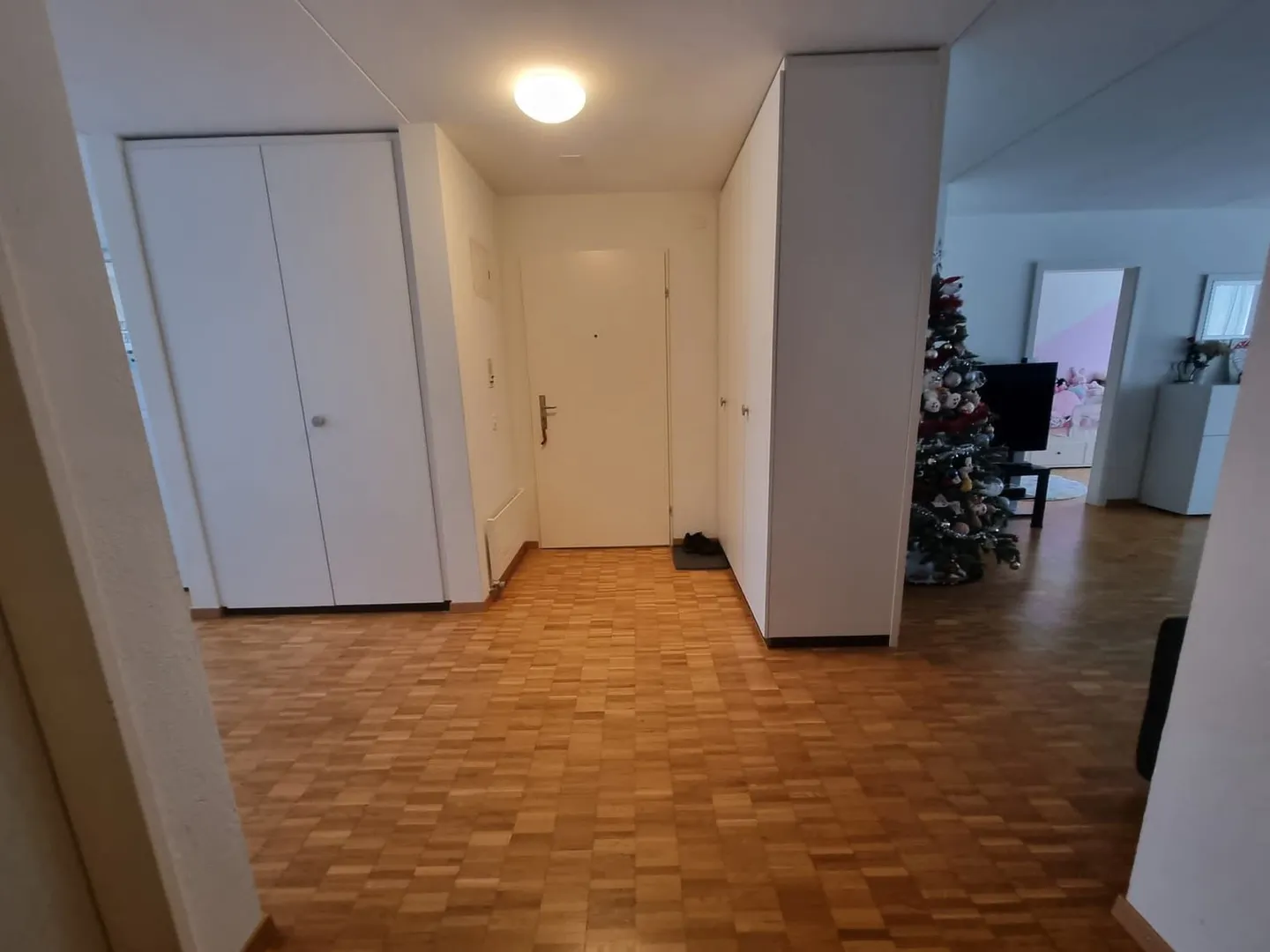 Appartamento 4½ locali con giardino - Foto 2 di 15