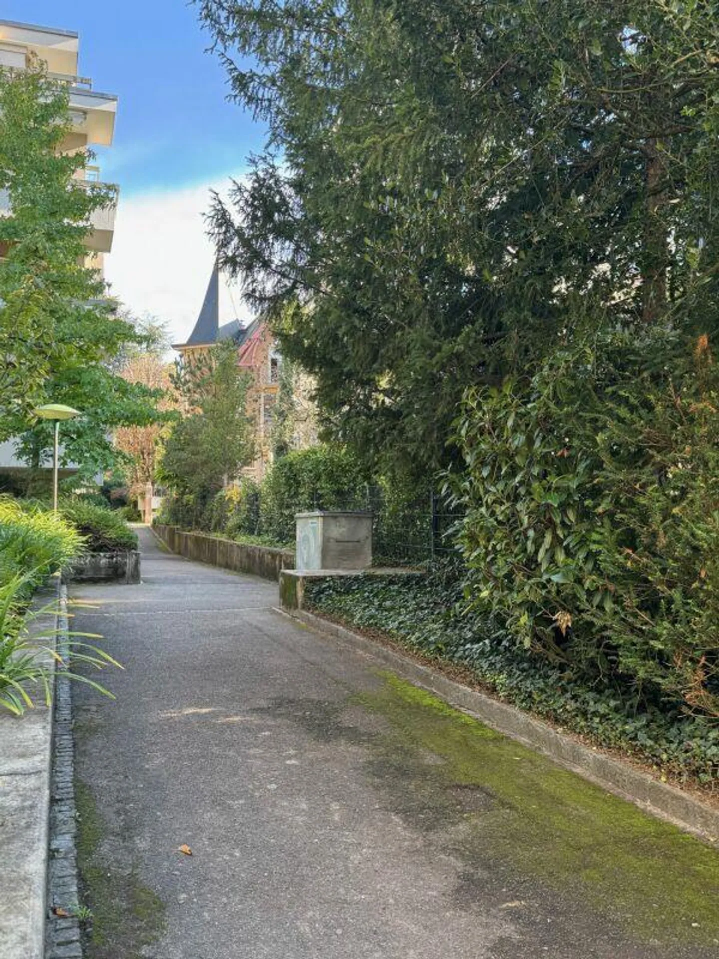 Büro / Praxisräume / Atelier im Gellert - Foto 3 von 10