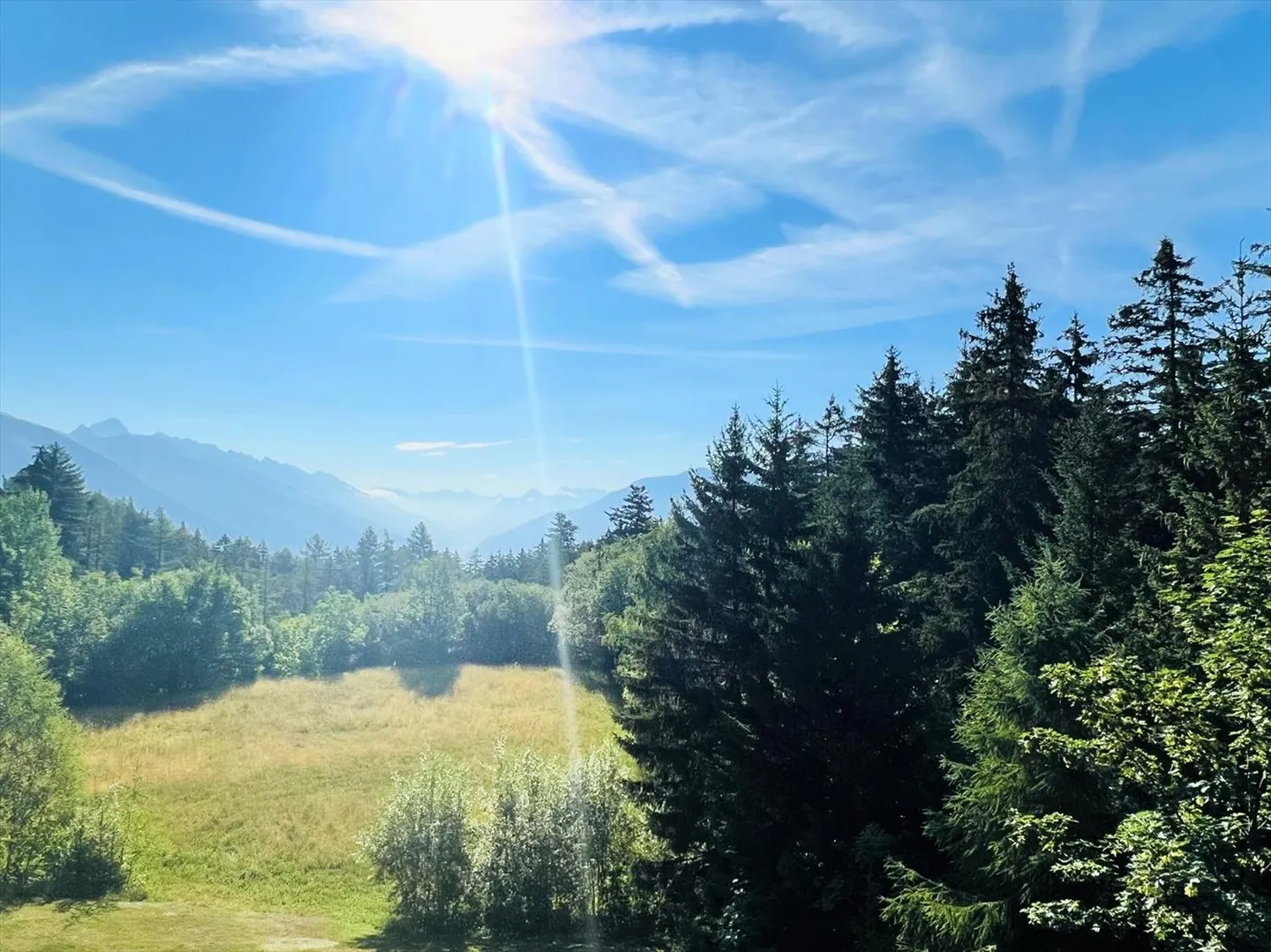 ALLA STAGIONE: Magnifico appartamento 3.5 pces completamente ristrutturato, spazioso e luminoso - Area - Foto 11 di 12