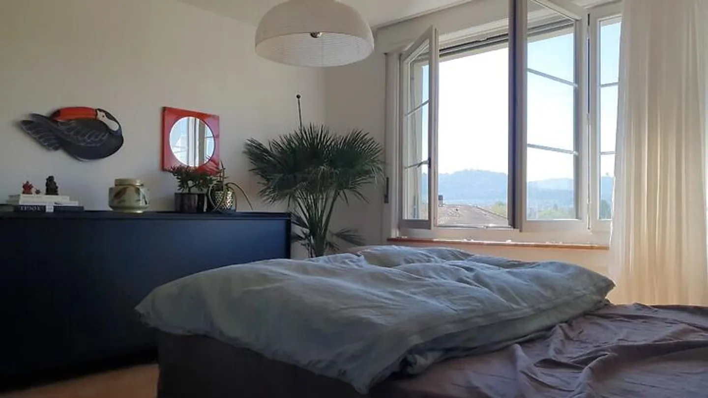 APPARTAMENTO 2½ STANZE A BERN - MATTENHOF, ARREDATO, TEMPORANEO - Foto 6 di 9