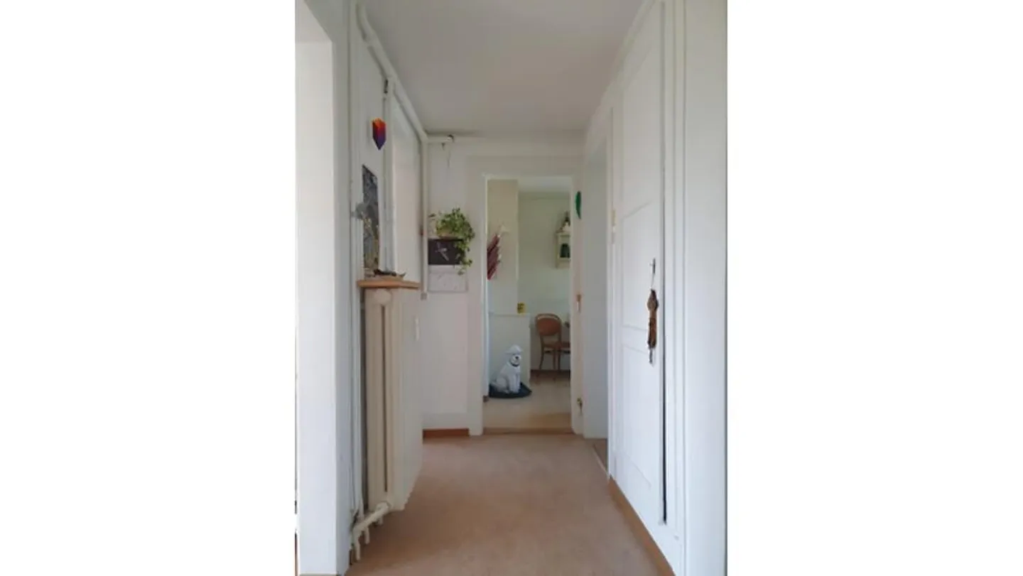 APPARTAMENTO 2½ STANZE A BERN - MATTENHOF, ARREDATO, TEMPORANEO - Foto 8 di 9