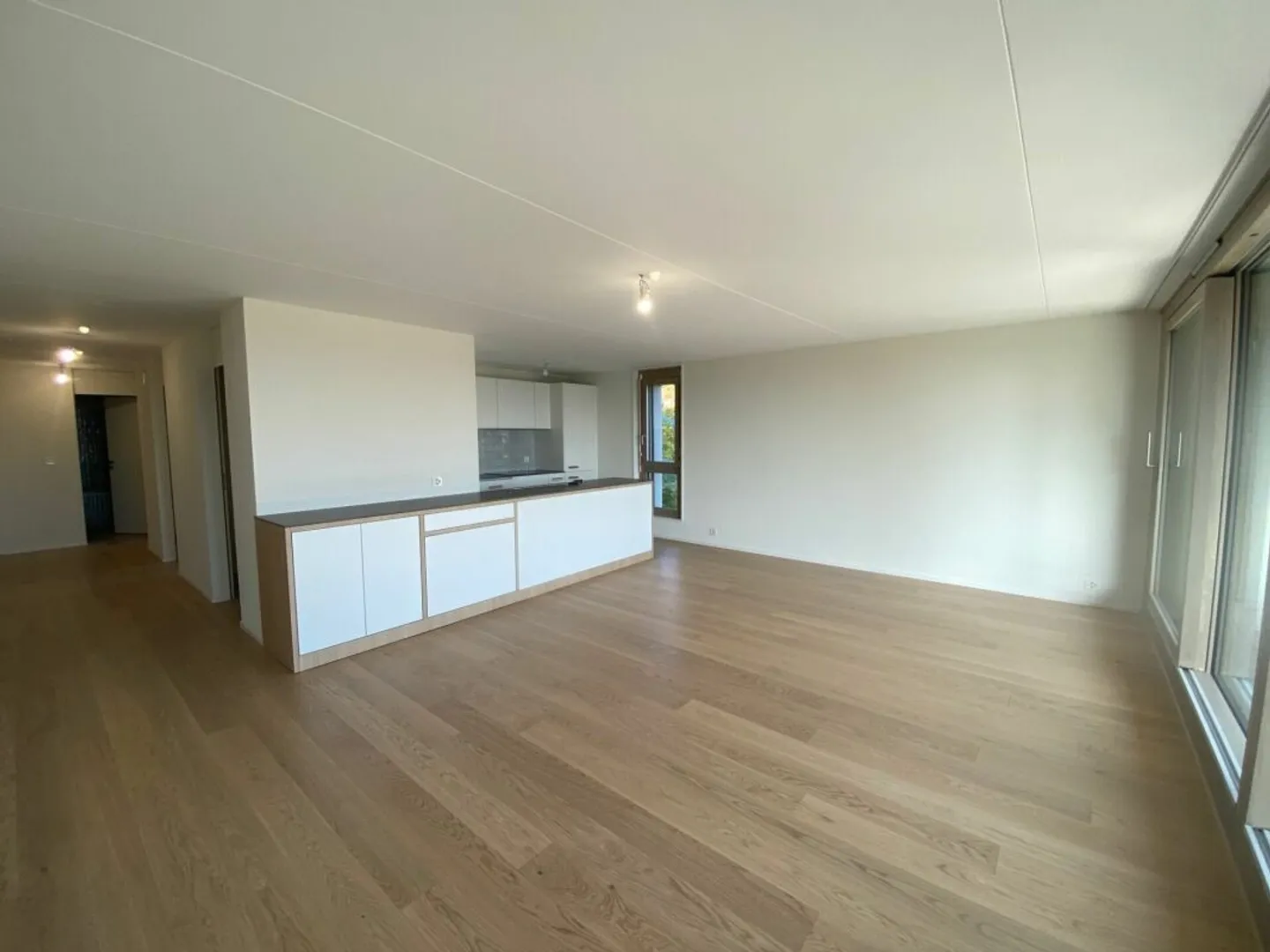 Appartement rénové 4.5 pièces - Photo 1 sur 9