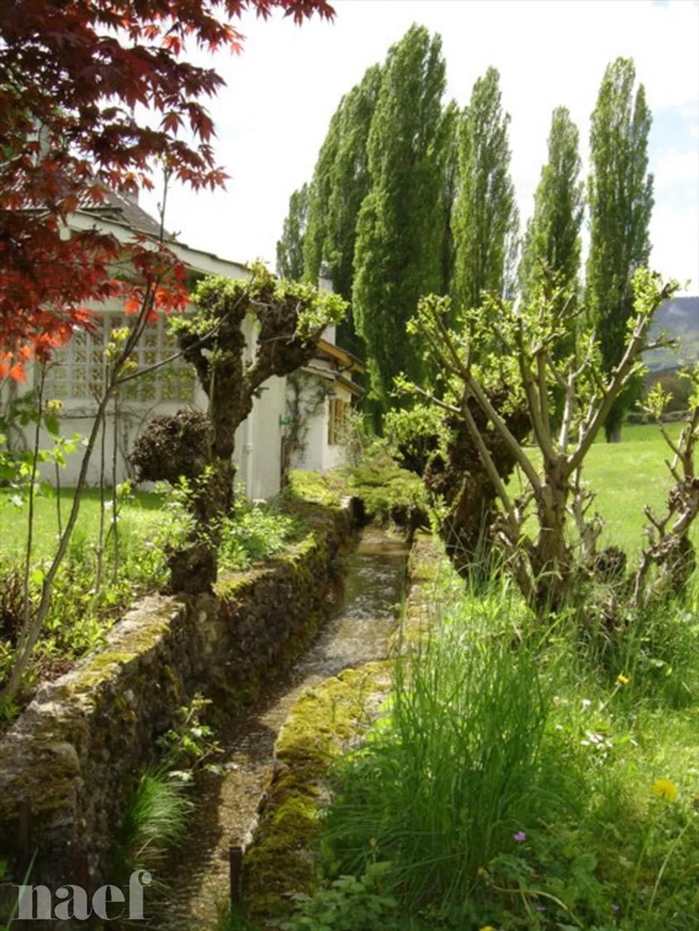 Villa 8 Zimmer - Foto 4 von 13