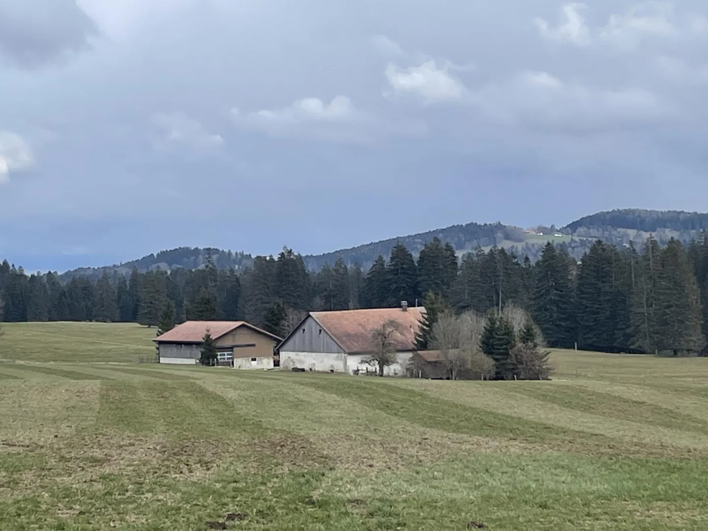 VERKAUFEN - Ausnahme-Bauernhof in den Freibergen mit einzigartigem Potenzial - Foto 4 von 12