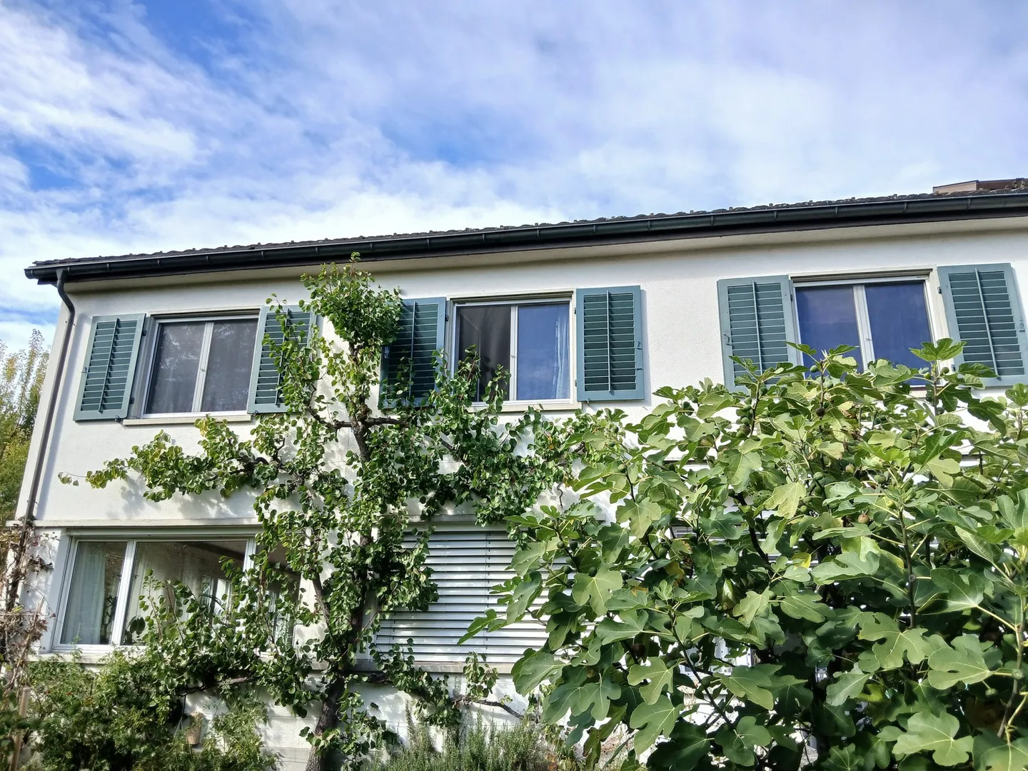 Casa singola in affitto - Foto 6 di 6