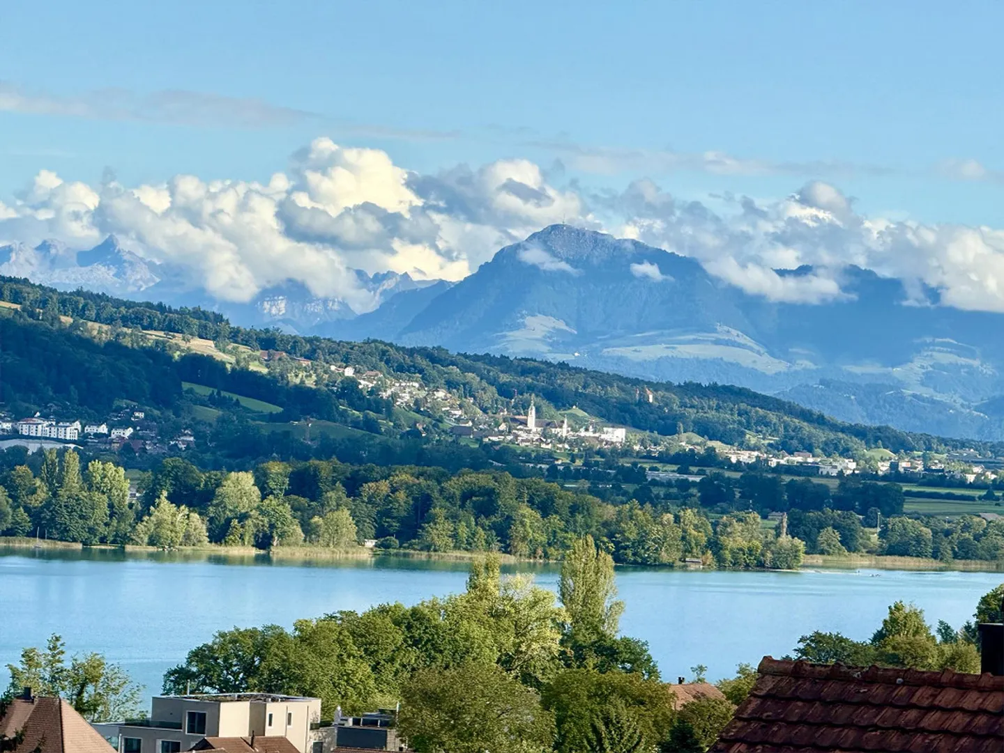 KOPIE - Neubauprojekt: Einfamilienhaus am Hallwilersee mit Traumsicht - Foto 10 von 12