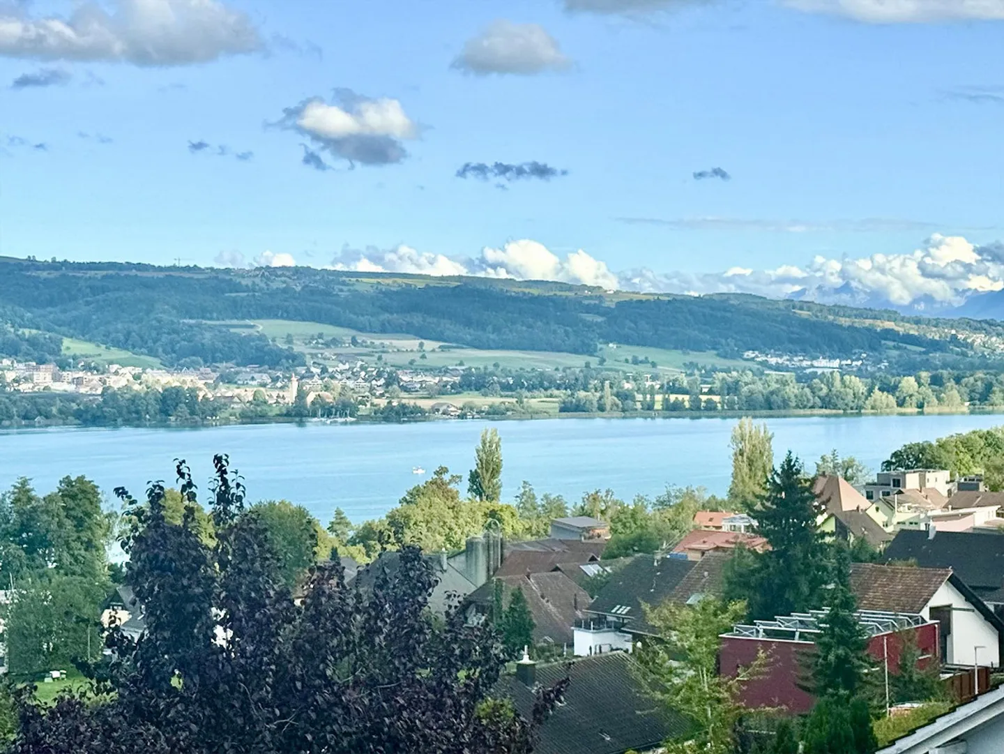 KOPIE - Neubauprojekt: Einfamilienhaus am Hallwilersee mit Traumsicht - Foto 12 von 12