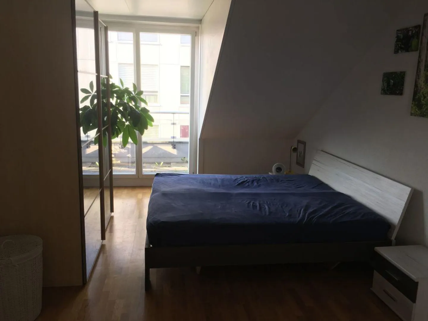 Sonnige 3,5-Zimmer-Dachwohnung mit Eigentumswohnungsstandard - Foto 5 von 15