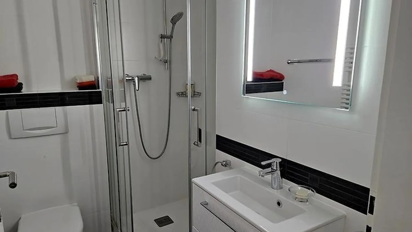 4-ZIMMER-WOHNUNG IN GENF - EAUX-VIVES, MÖBLIERT - Foto 5 von 10