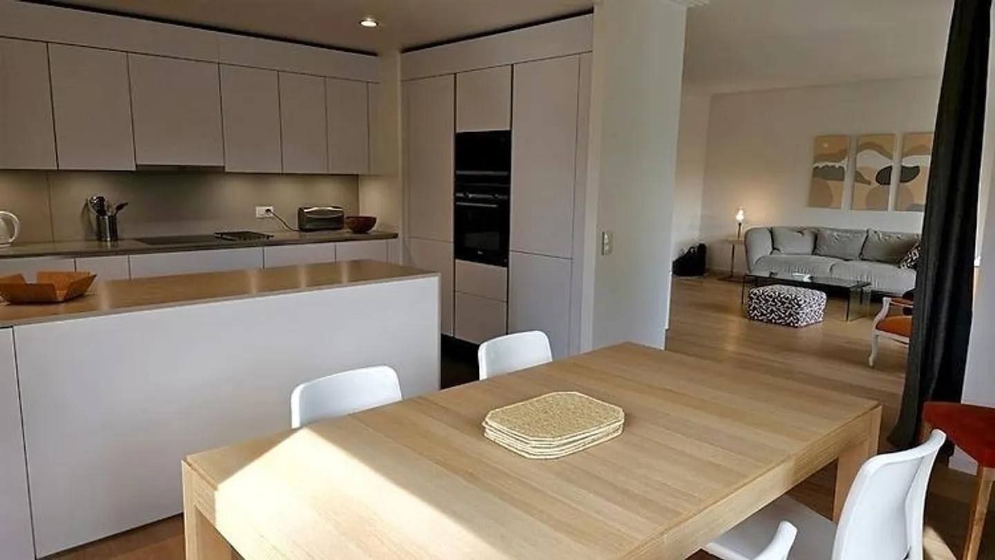 4-ZIMMER-WOHNUNG IN GENF - EAUX-VIVES, MÖBLIERT - Foto 9 von 10