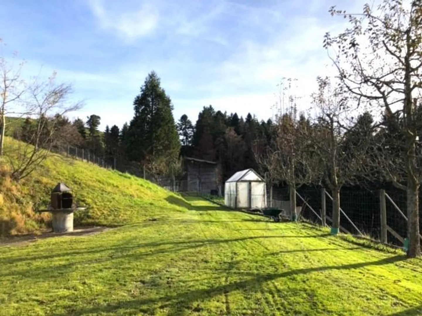 IDILLIO RURALE IN UNA POSIZIONE ASSOLUTAMENTE TRANQUILLA - Foto 6 di 8