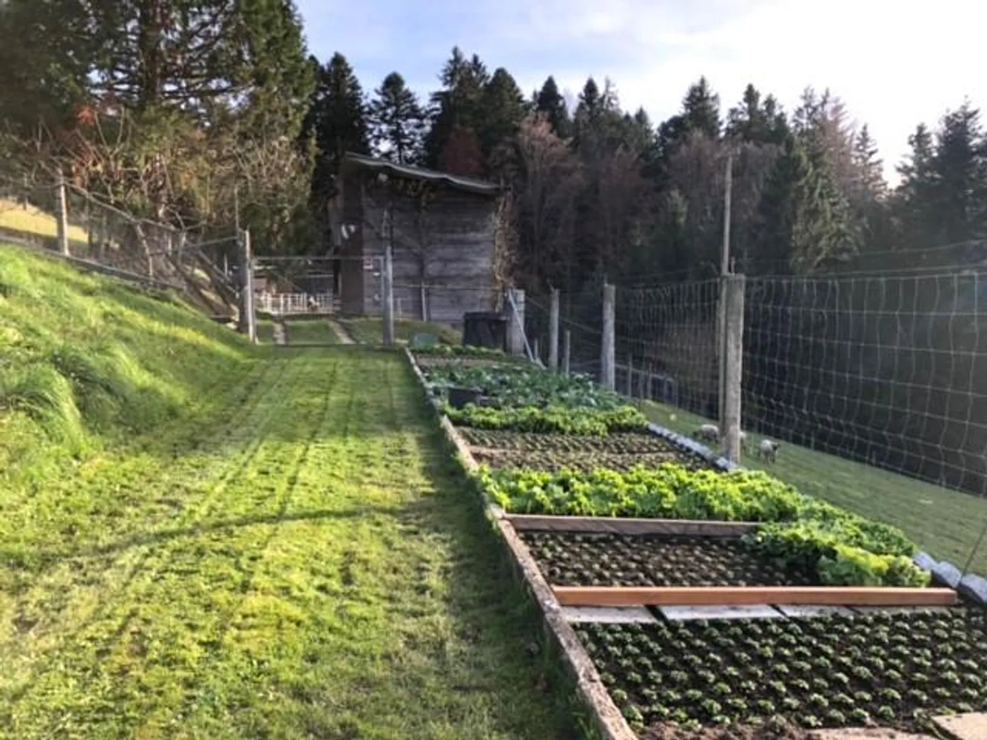 IDILLIO RURALE IN UNA POSIZIONE ASSOLUTAMENTE TRANQUILLA - Foto 7 di 8