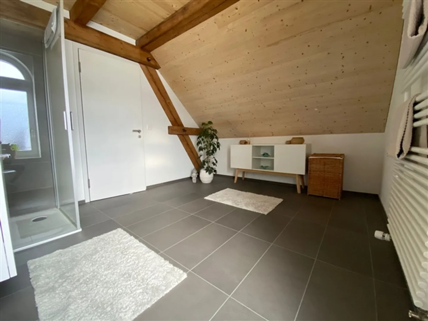 2½ ROOM APARTMENT IN ALTDORF (UR), FURNISHED, TEMPORARY - Photo 7 of 9