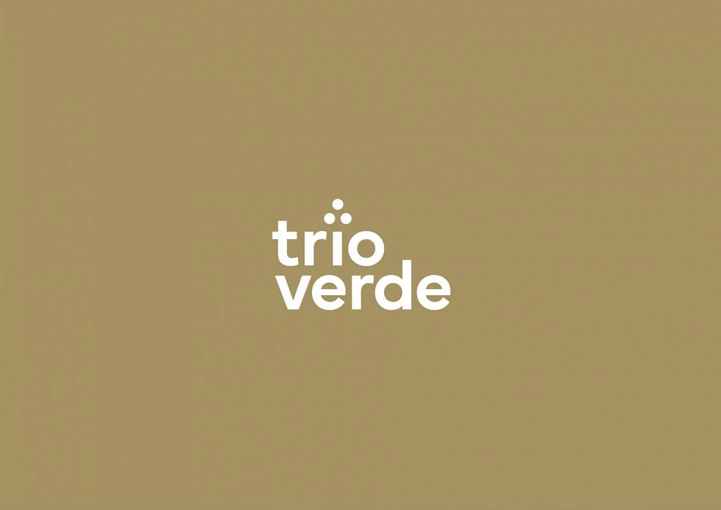 «TRIO VERDE» - a home with identity. - Photo 11 of 11