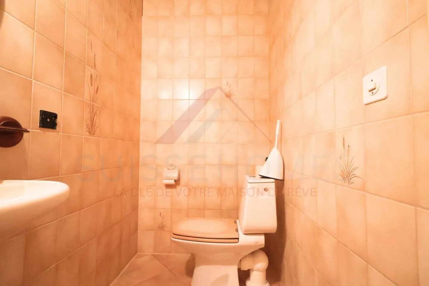 Elegant single-family house with large plot, pool, and family comfort – 1745 La Brillaz - Photo 29 of 29