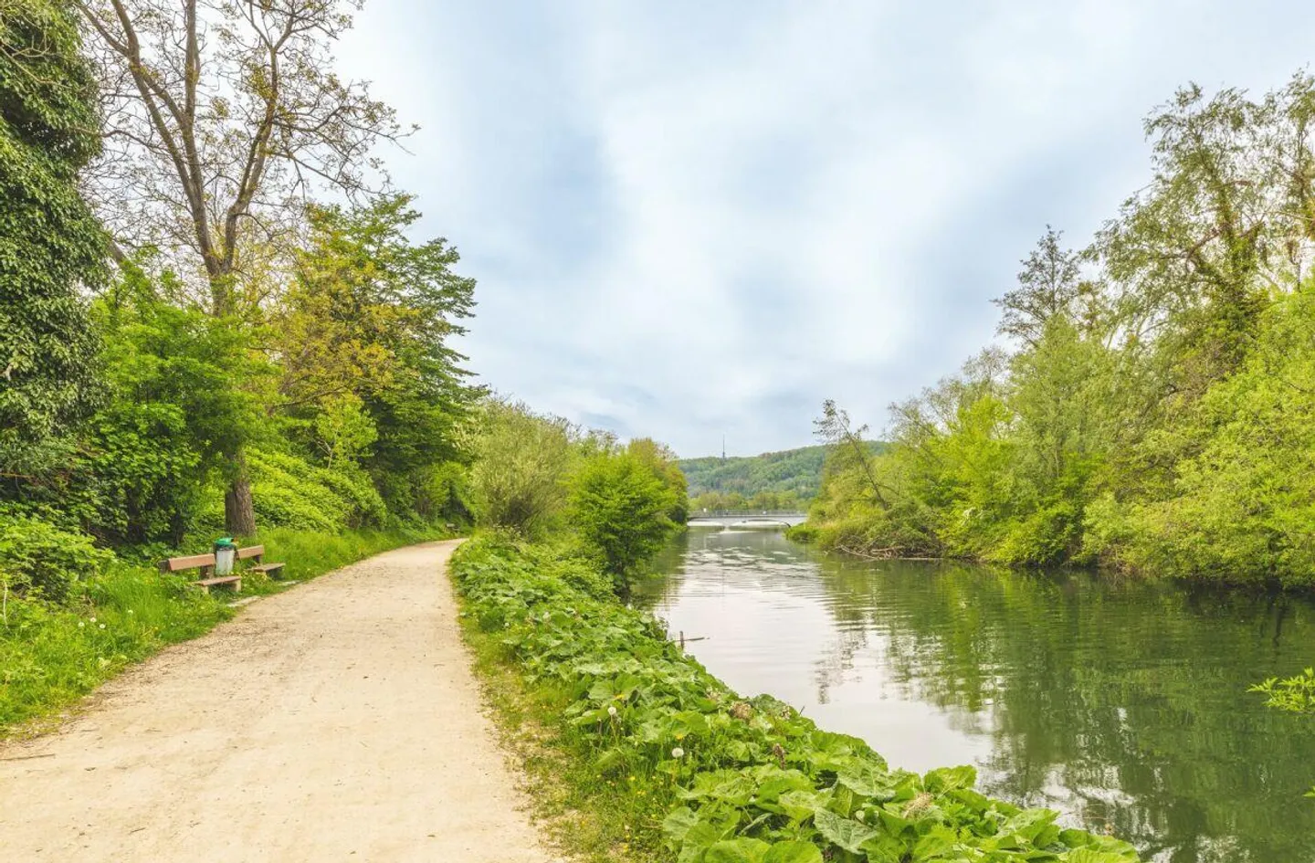 Charming 3.5-Room Garden Apartment - Photo 11 of 11