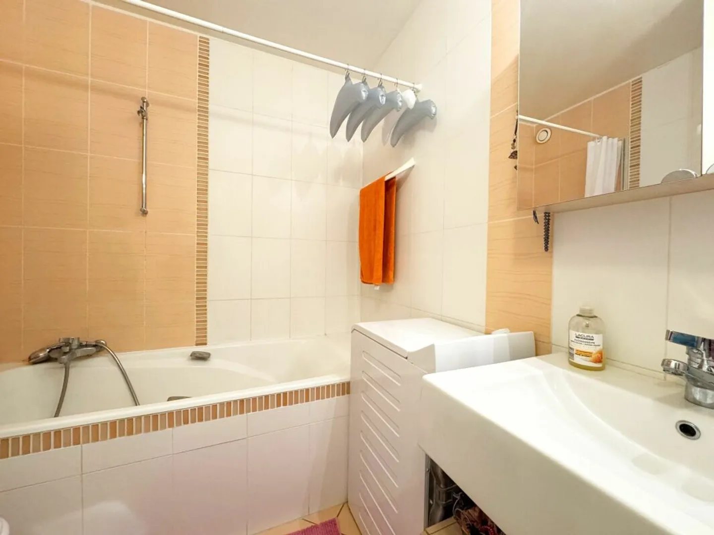 Charming Apartment in Lancy - Photo 6 of 7