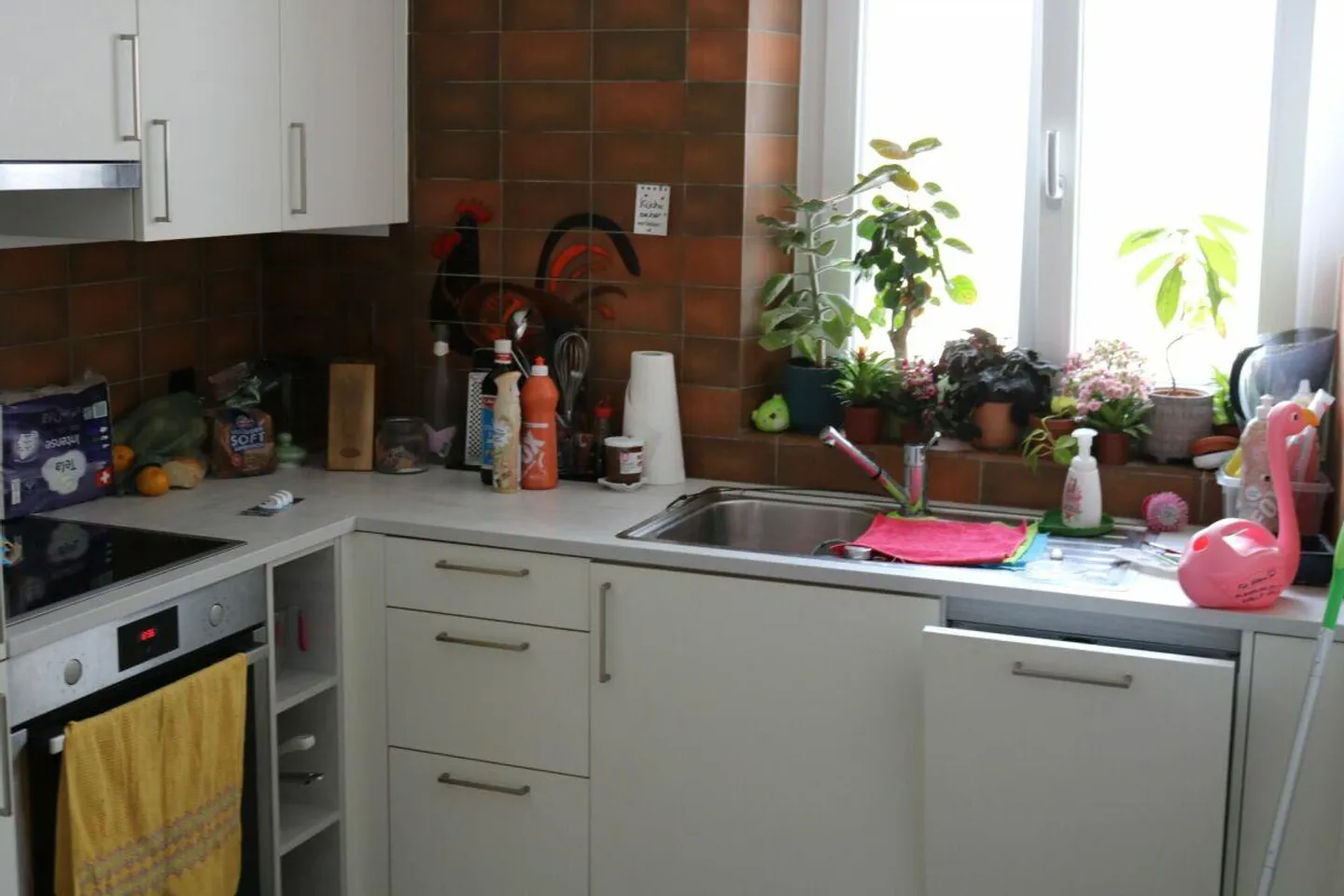 Appartamento 2.5 stanze nel centro di Sciaffusa con terrazza sul tetto - Foto 2 di 5