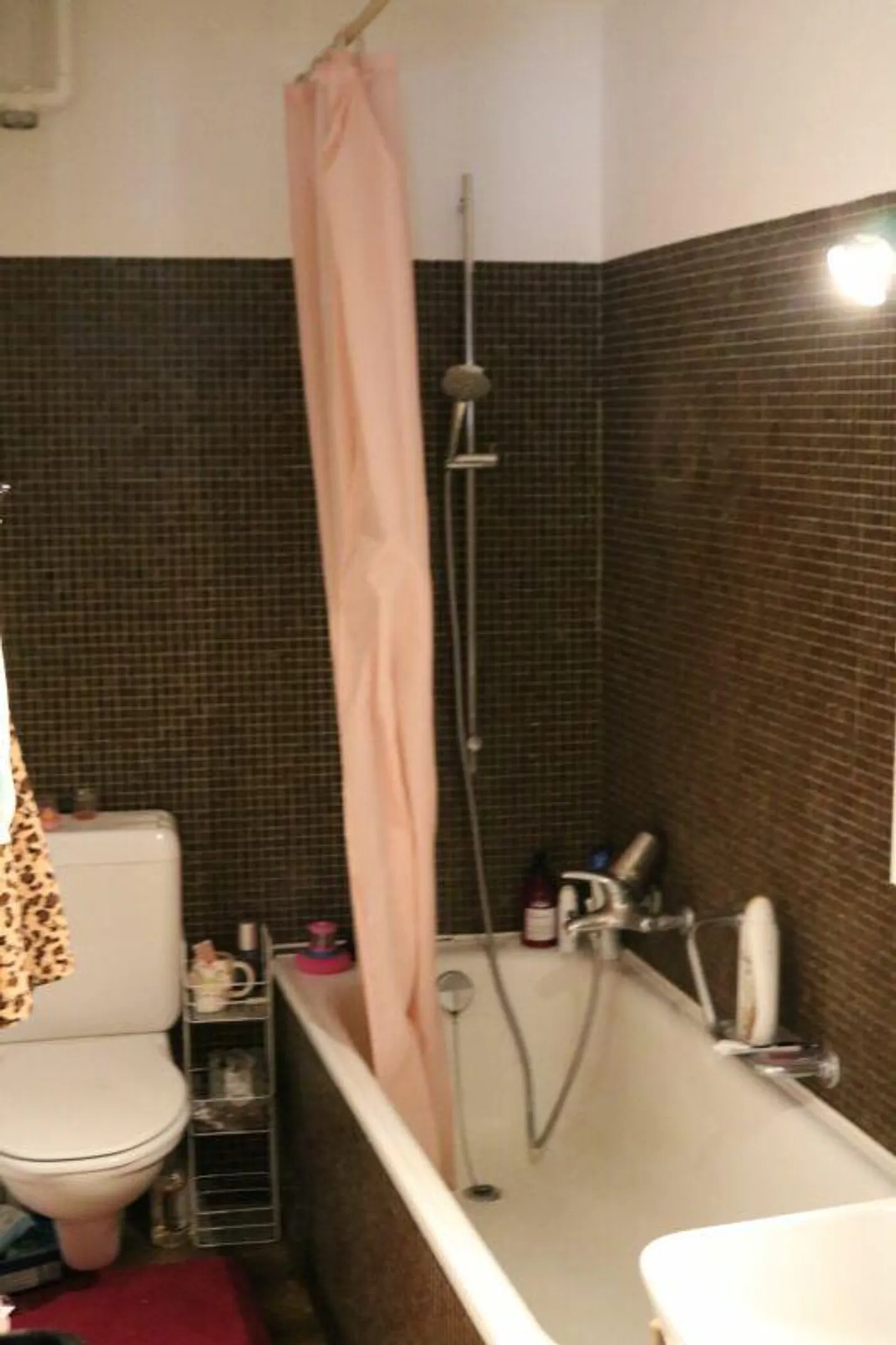 Appartamento 2.5 stanze nel centro di Sciaffusa con terrazza sul tetto - Foto 4 di 5