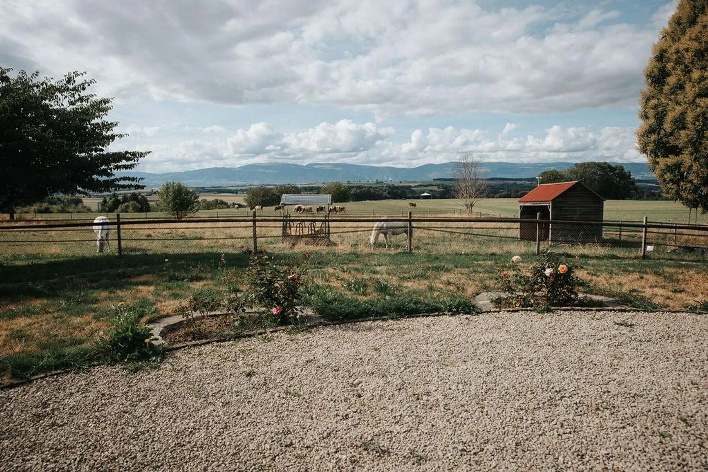 Une propriété hors du commun au coeur du Gros-de-Vaud - Foto 10 di 11