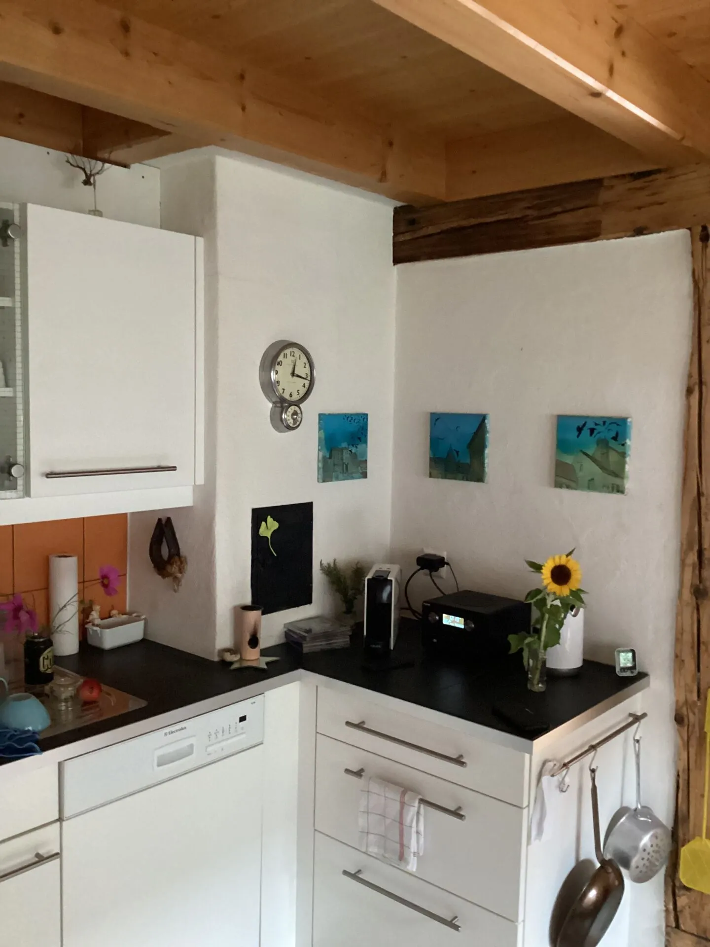 Casa bifamiliare, posizione soleggiata con vista sulle montagne nel bellissimo Oberland bernese - Foto 7 di 17