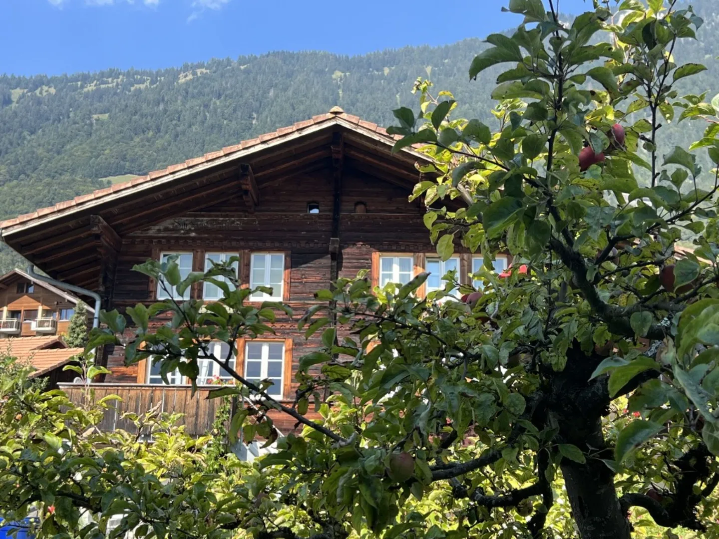Casa bifamiliare, posizione soleggiata con vista sulle montagne nel bellissimo Oberland bernese - Foto 14 di 17