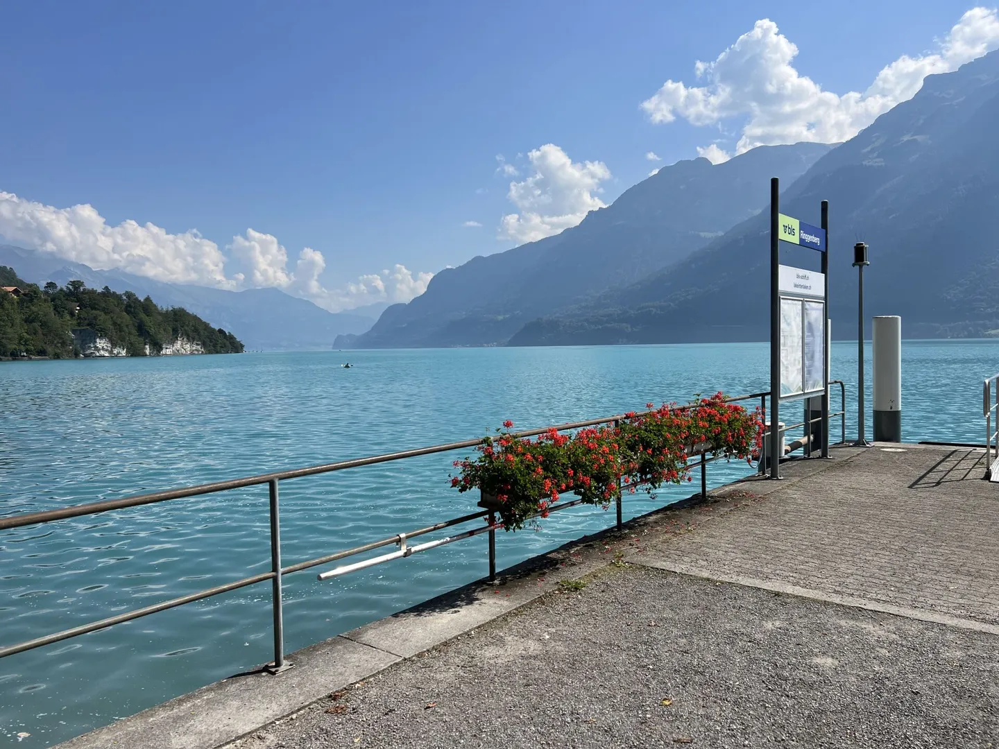Casa bifamiliare, posizione soleggiata con vista sulle montagne nel bellissimo Oberland bernese - Foto 17 di 17
