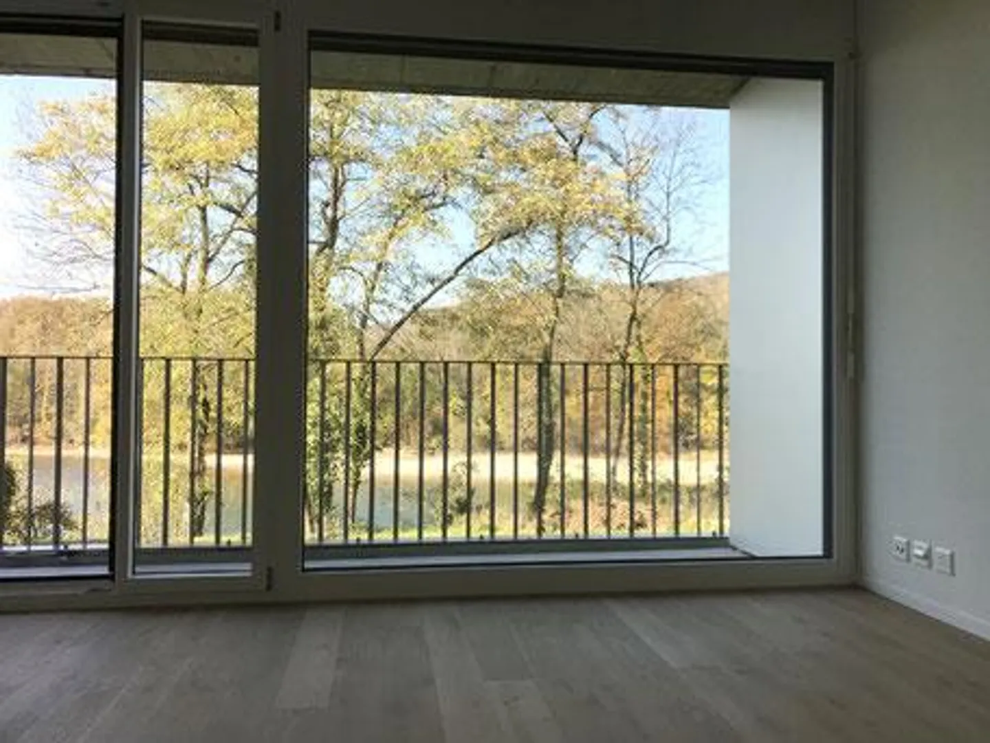 Vivere con un'esperienza di natura lungo il fiume - Foto 3 di 8