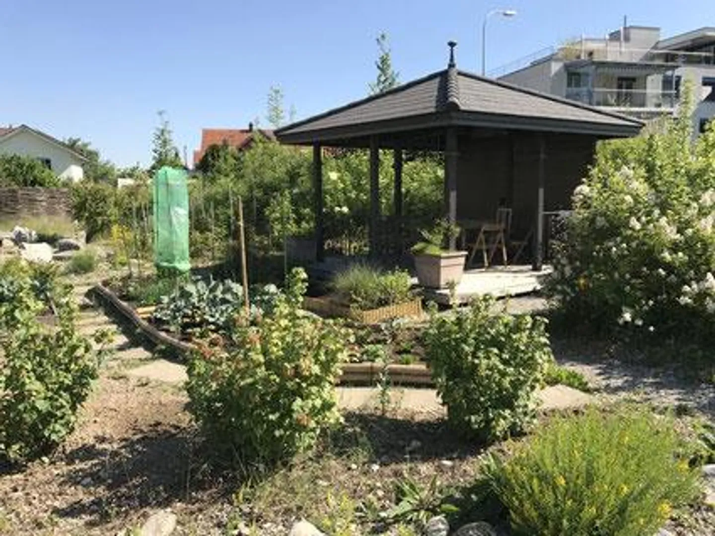 Vivere con un'esperienza di natura lungo il fiume - Foto 7 di 8