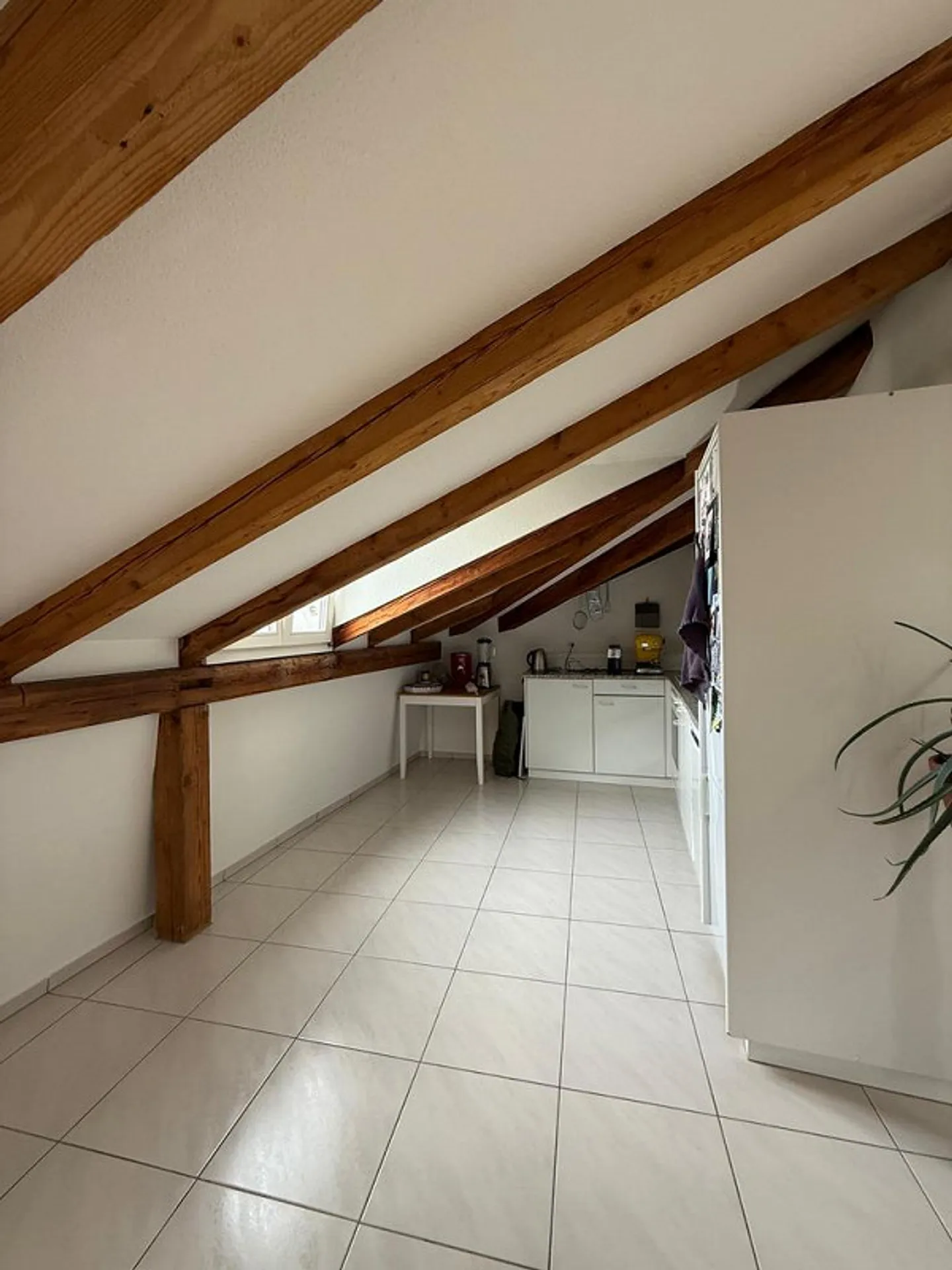 Appartamento attico con 2 camere da letto e terrazza con vista su Berna - Foto 1 di 11