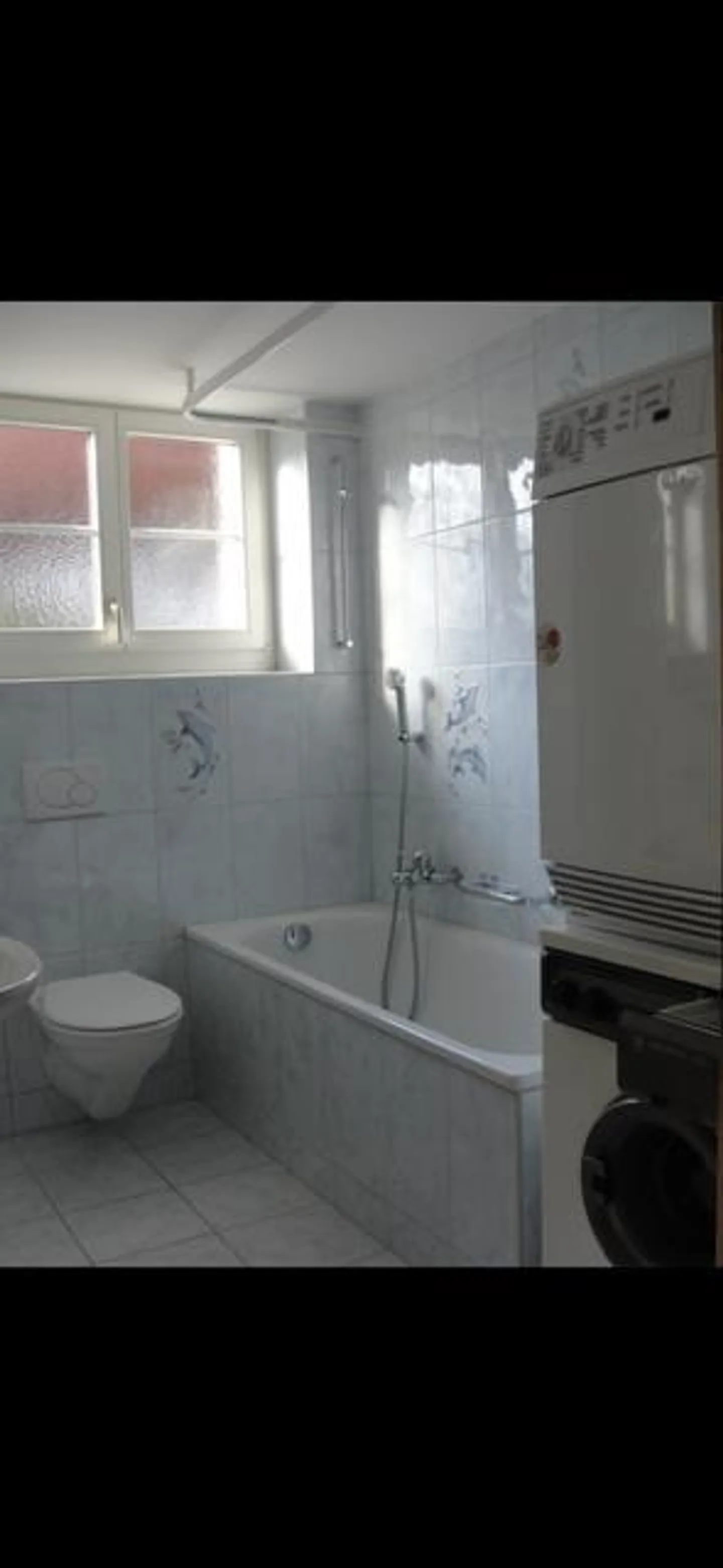 Charming 2.5 Room Apartment in 8486 Rikon - Photo 2 of 5