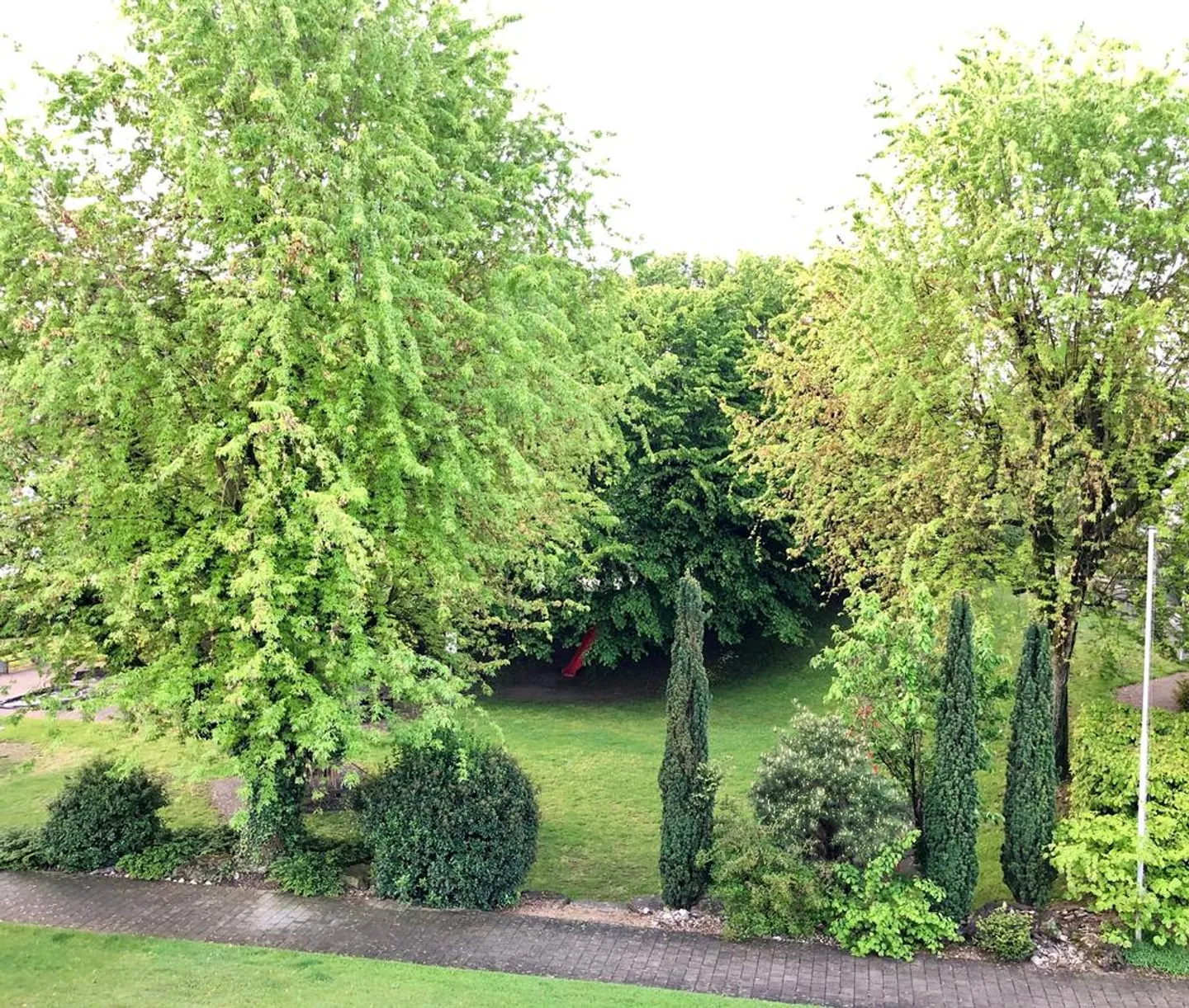 Visita: Martedì, 02.12.2025 tra le 16:00 e le 17:00 - Foto 7 di 7