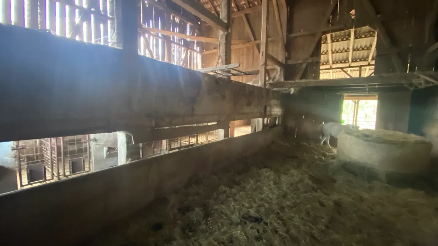 Affascinante Fattoria con Potenziale - Foto 11 di 28