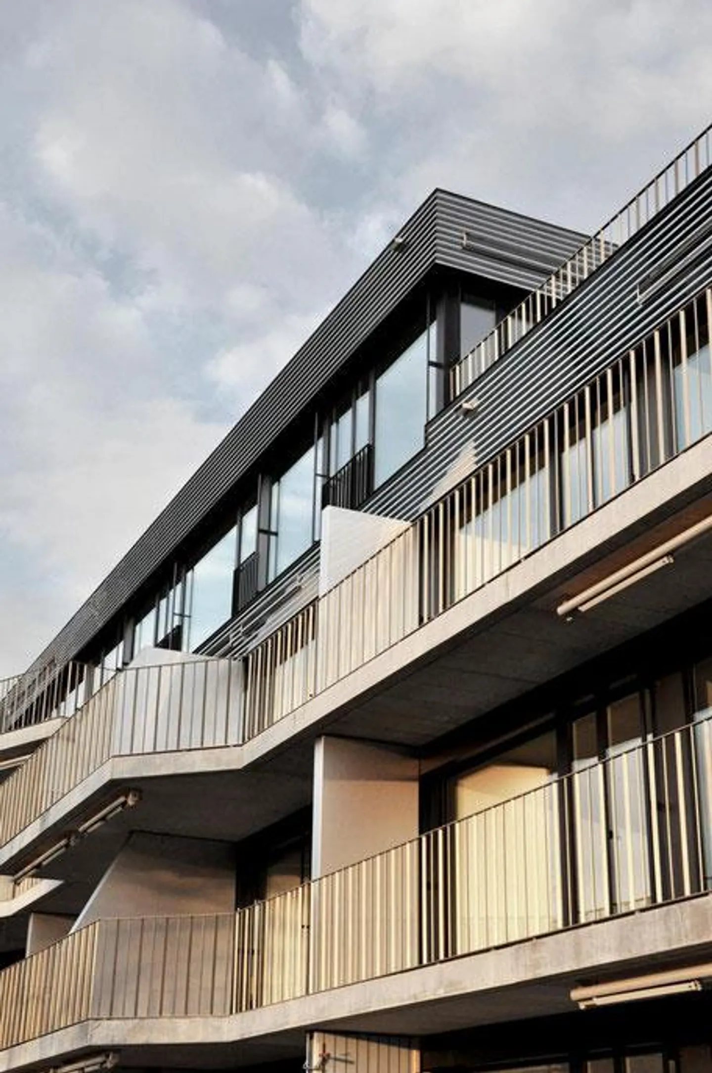 Vivere con un'esperienza naturale lungo il fiume - Foto 1 di 10