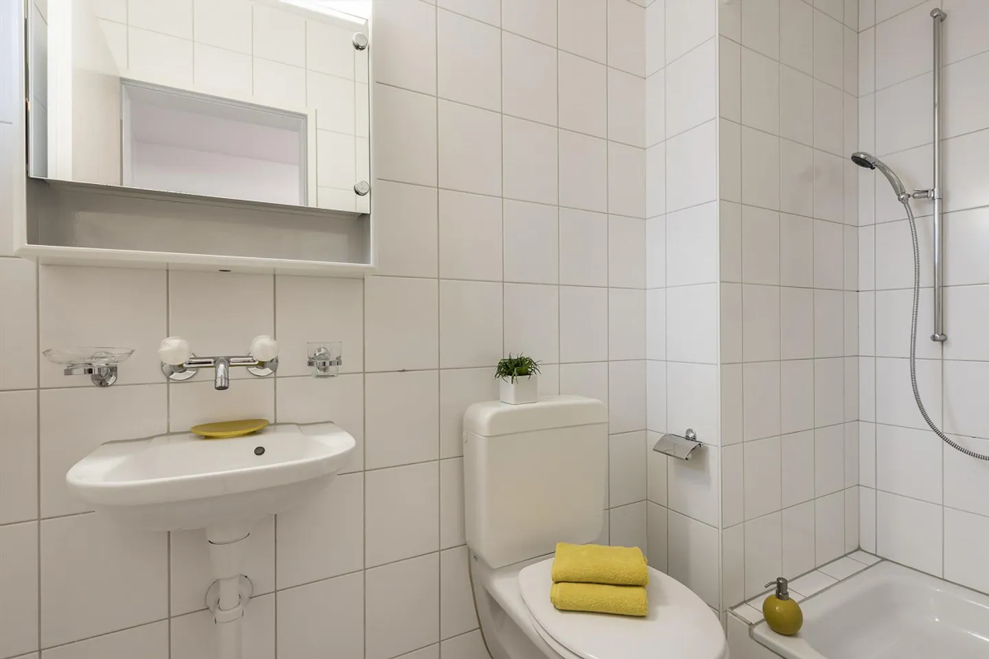 Grosse Dachterrasse mit Alpensicht - Ihr neues zu Hause wartet! - Foto 3 von 9