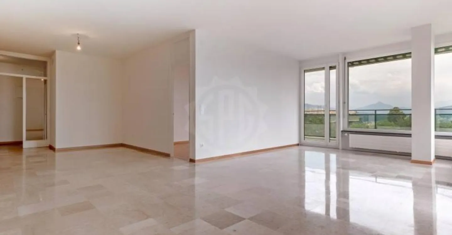 Appartement exceptionnel à Genève - Photo 4 sur 9