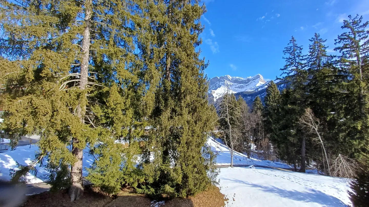 Jardin du Closel 5 - Foto 13 von 25