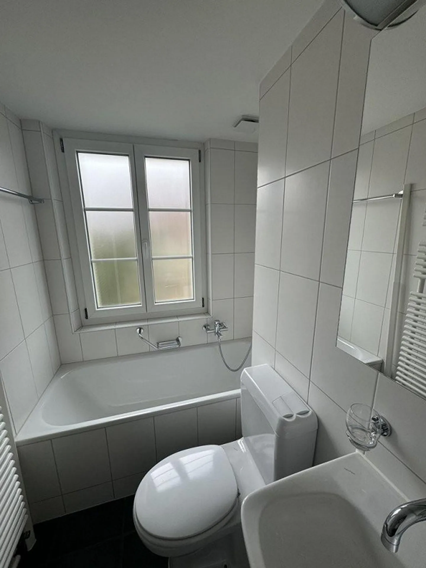 Bijou di 2,5 stanze in affitto a Breitsch - Foto 3 di 10