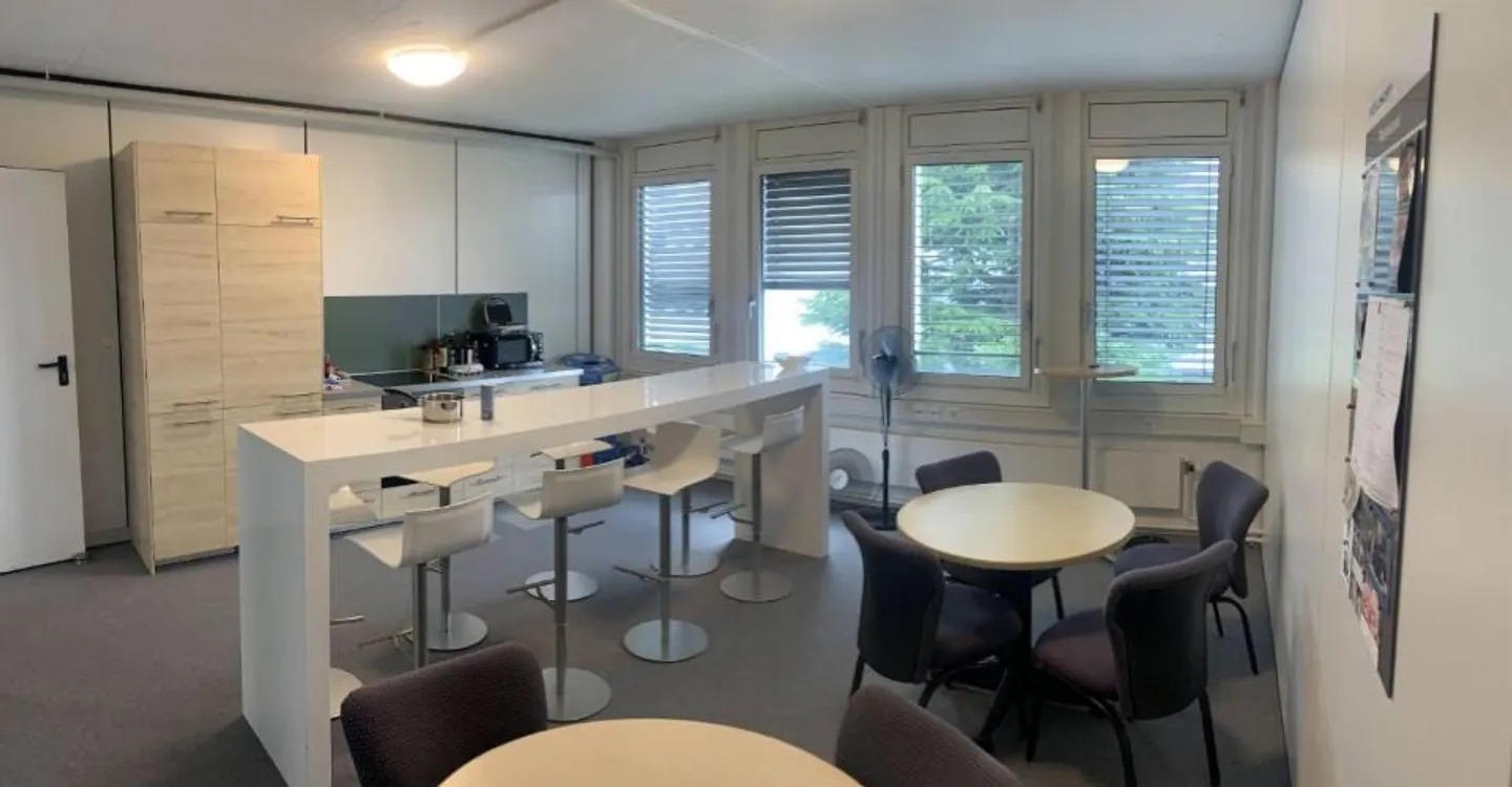Vaud Büros, Gewerbeimmobilien, Werkstatt, Labor, Lager, West-Lausanne - Foto 6 von 9