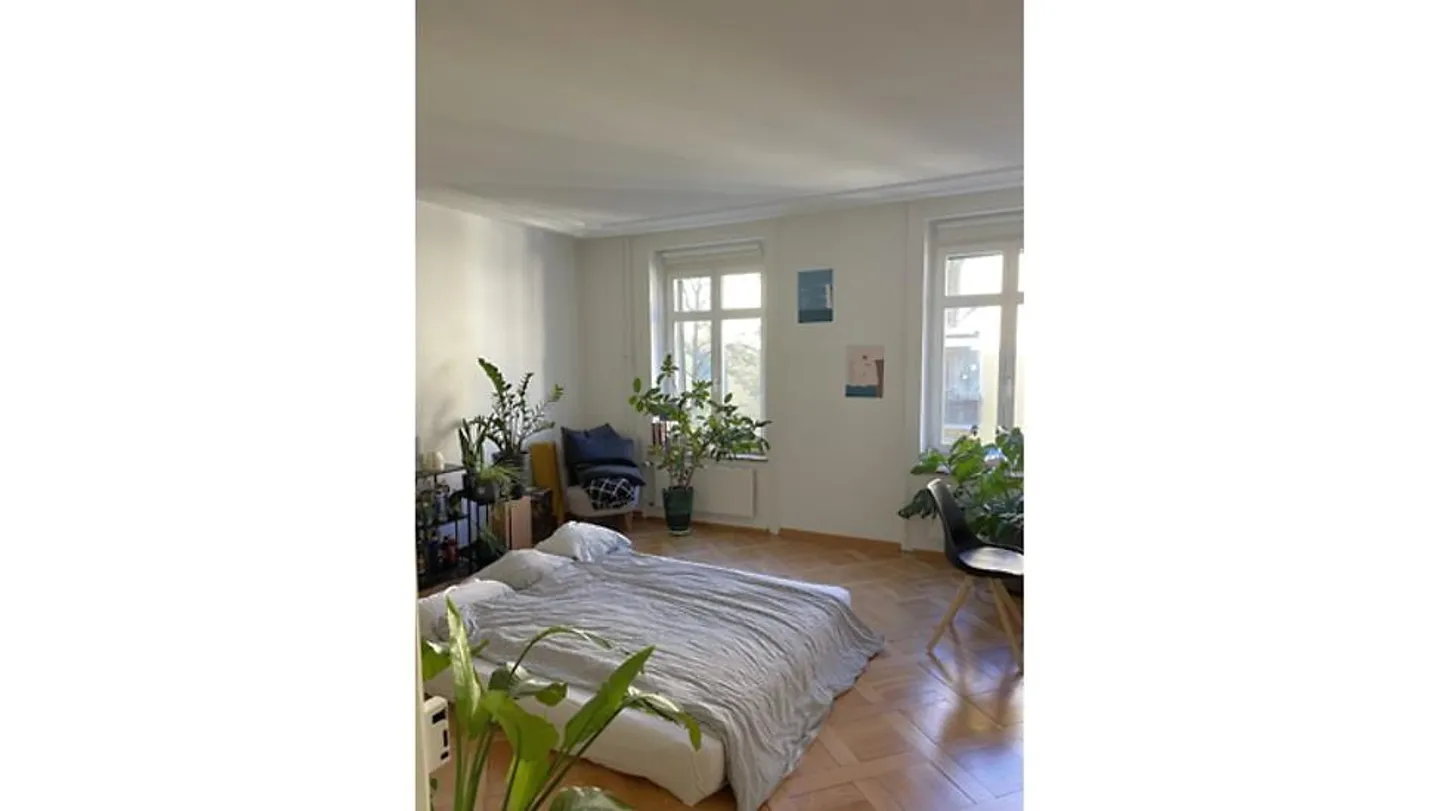 3 ROOM APARTMENT IN ZURICH - DISTRICT 4, FURNISHED, TEMPORARY - Photo 3 of 6