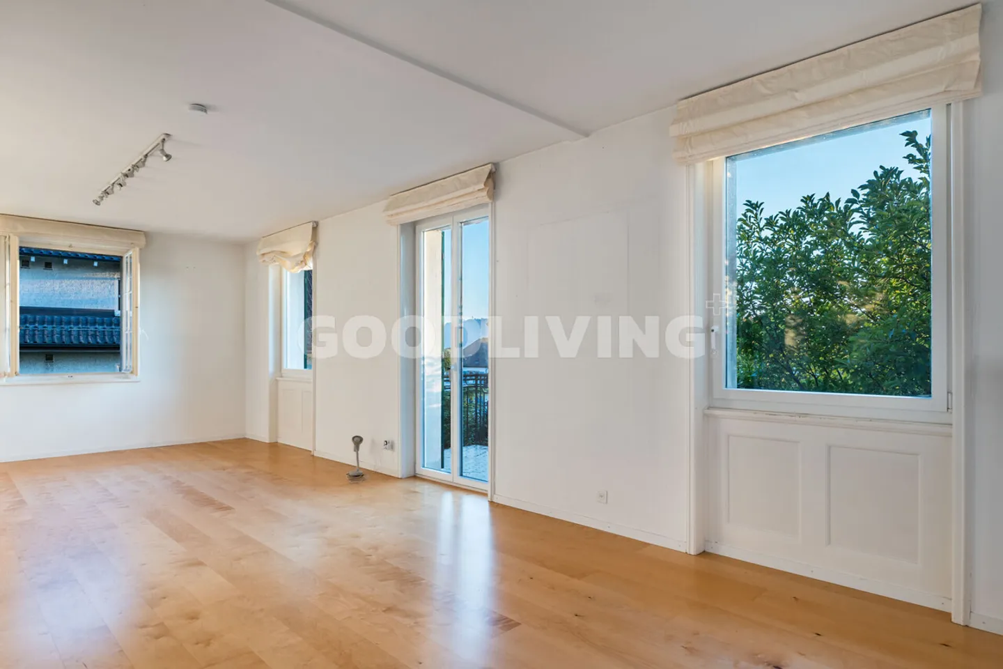 Proprietà caratteristica sul Zürichberg con potenziale di sviluppo - Foto 4 di 7