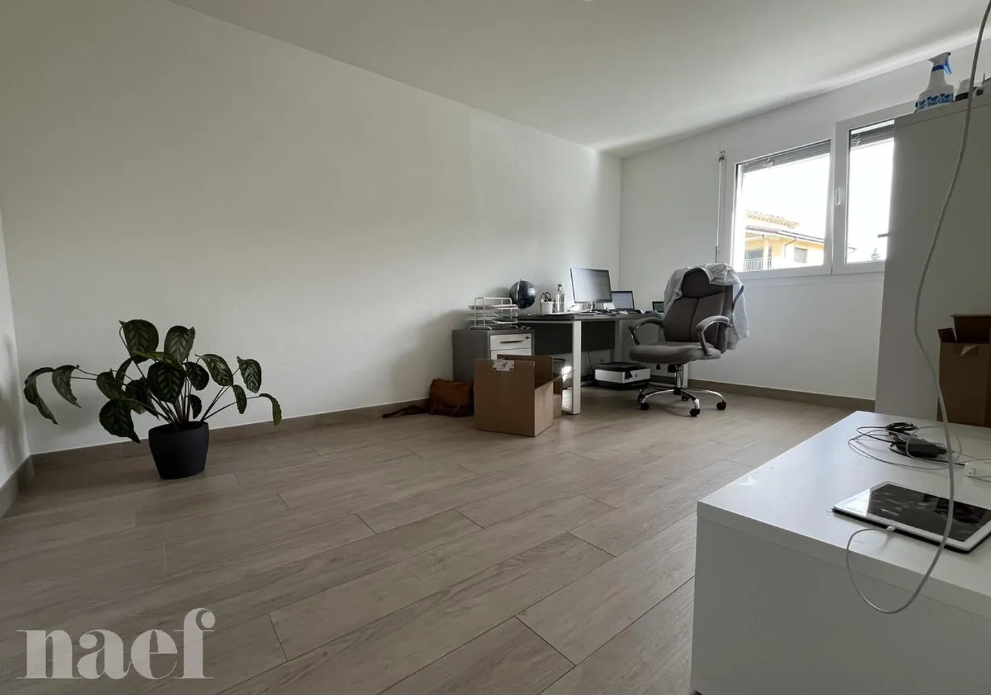 3.5 Room Apartment - Photo 5 of 6