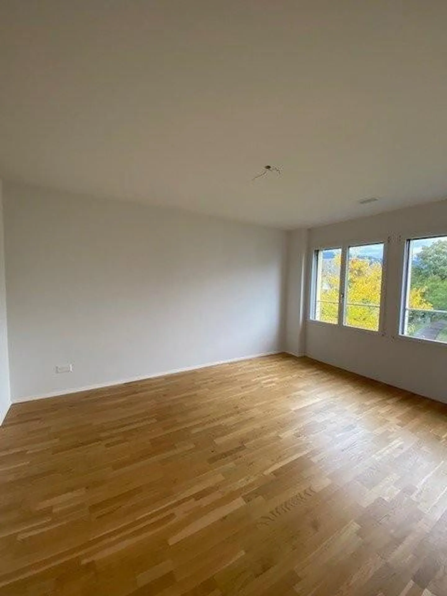 Attractive 3.5 room apartment in the center of Grenchen - Photo 9 of 10