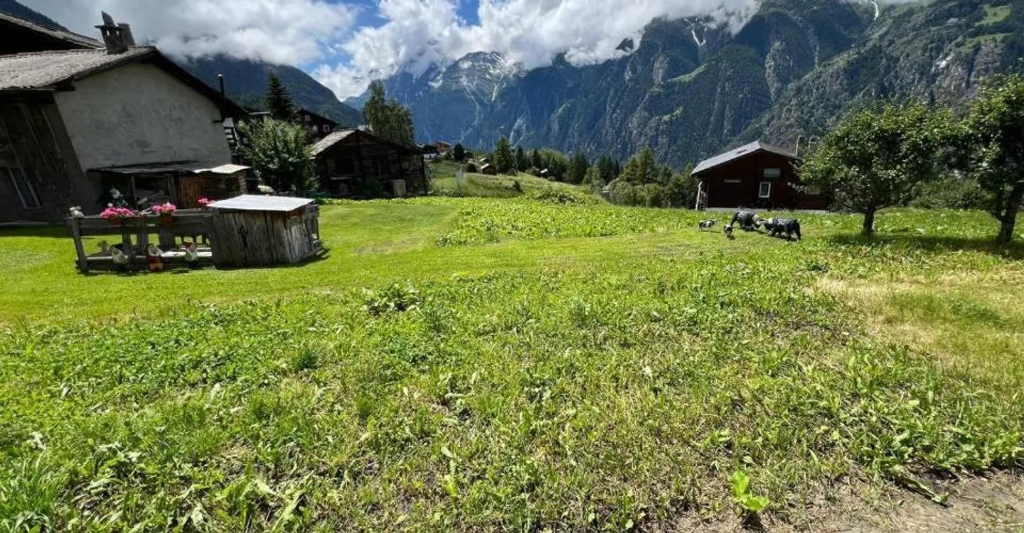 Baugrundstück in Grächen - Foto 1 von 3