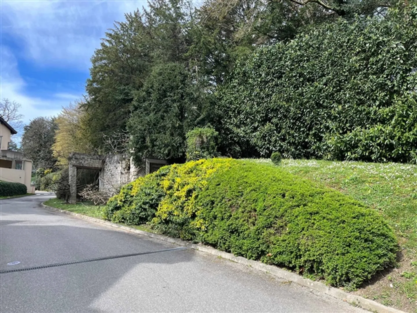 «Hochwertiges Duplex» - Foto 3 von 7