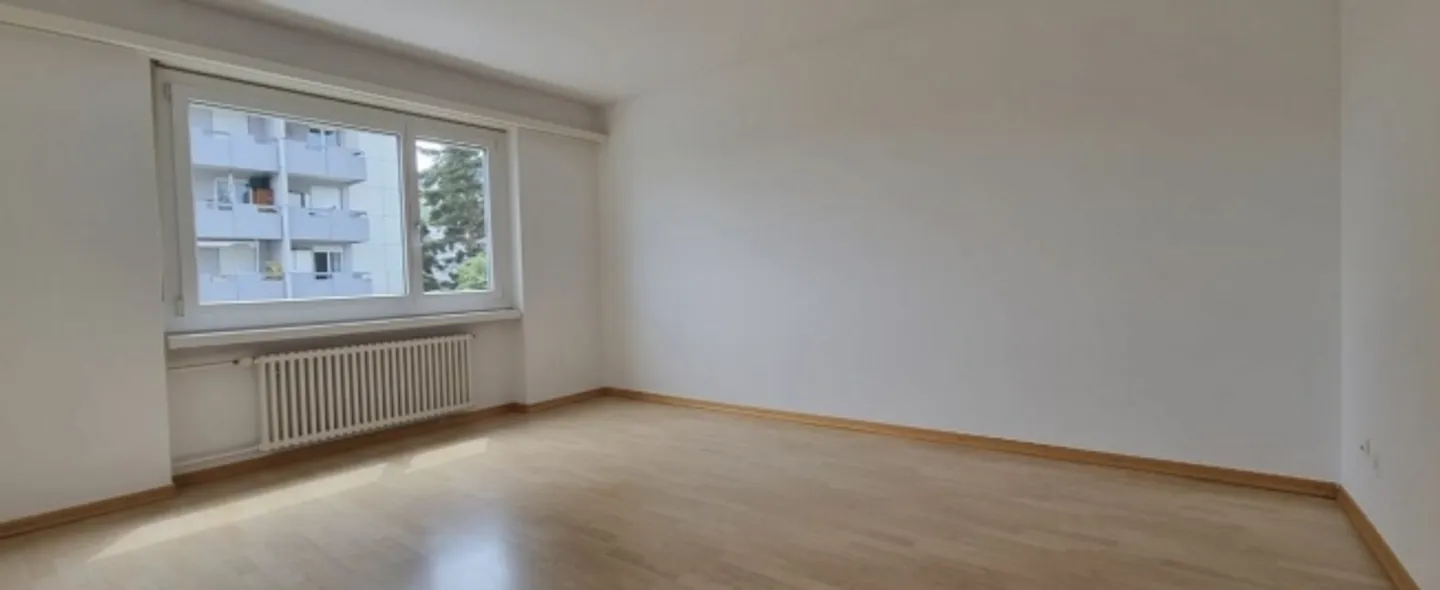 Bellissimo 6.5 ZWG - Foto 3 di 8